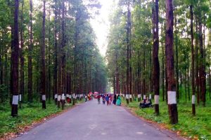 सेल्फी रोडमा यसरी हुँदोरहेछ यौनक्रिया ! एक जोडी रंगेहात पक्राउ